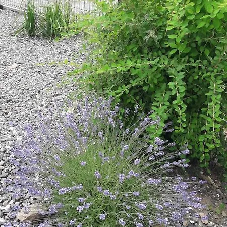 Pod Grusza -osobne Wejscia