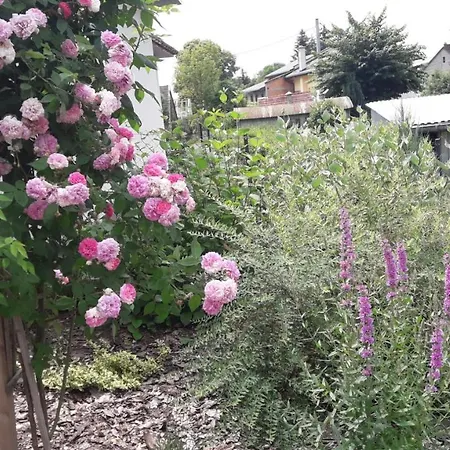 Apartmán Pod Grusza -osobne Wejscia Kudowa-Zdrój