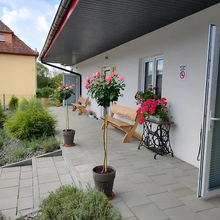 Pod Grusza -osobne Wejscia Kudowa-Zdrój