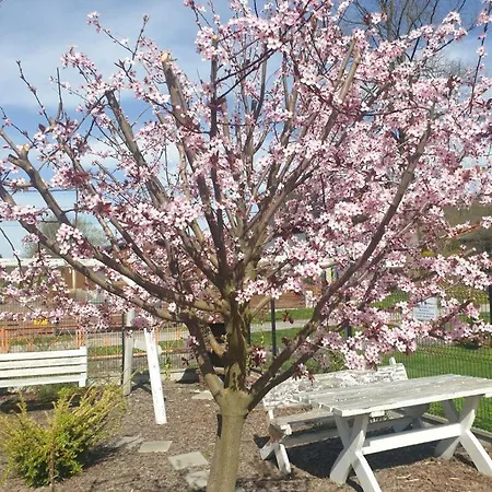 Apartmán Pod Grusza -osobne Wejscia Kudowa-Zdrój