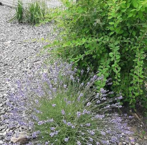 Pod Grusza -osobne Wejscia