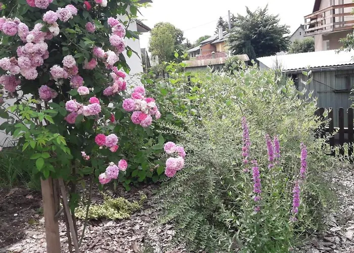 Apartmán Pod Grusza -osobne Wejscia Kudowa-Zdrój