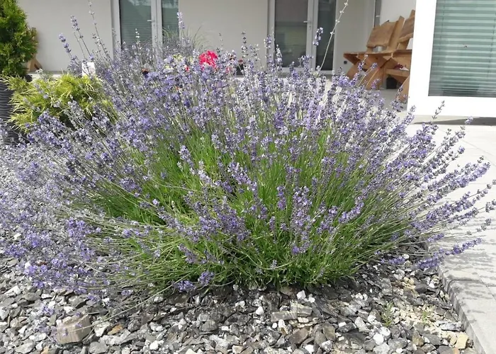 Apartmán Pod Grusza -osobne Wejscia *