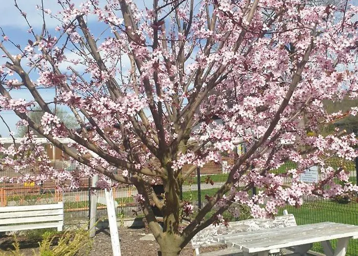 Apartmán Pod Grusza -osobne Wejscia Kudowa-Zdrój